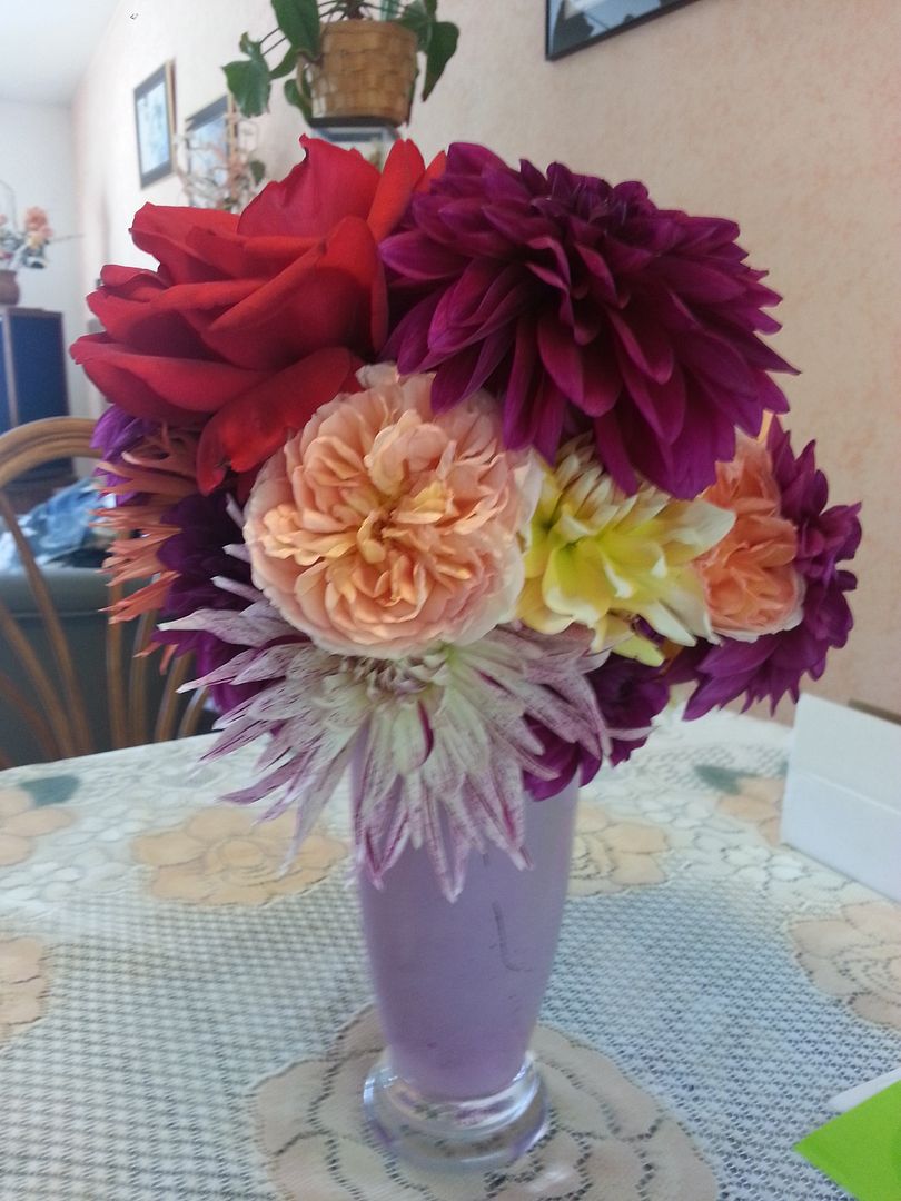  photo 20141003_113250_zpsrtvfwrfm.jpg